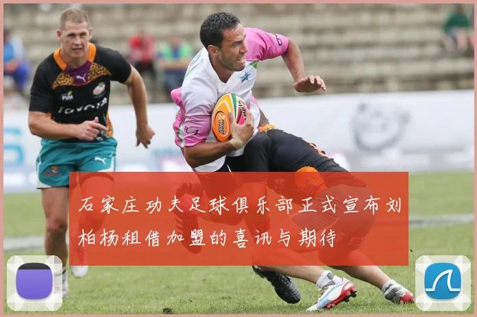石家庄功夫足球俱乐部正式宣布刘柏杨租借加盟的喜讯与期待