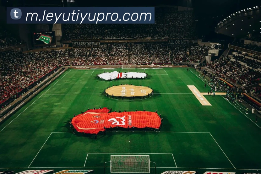 乐鱼体育平台生态图